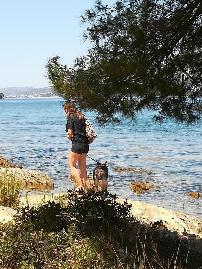 Villa Caroline Trogir Exterior foto